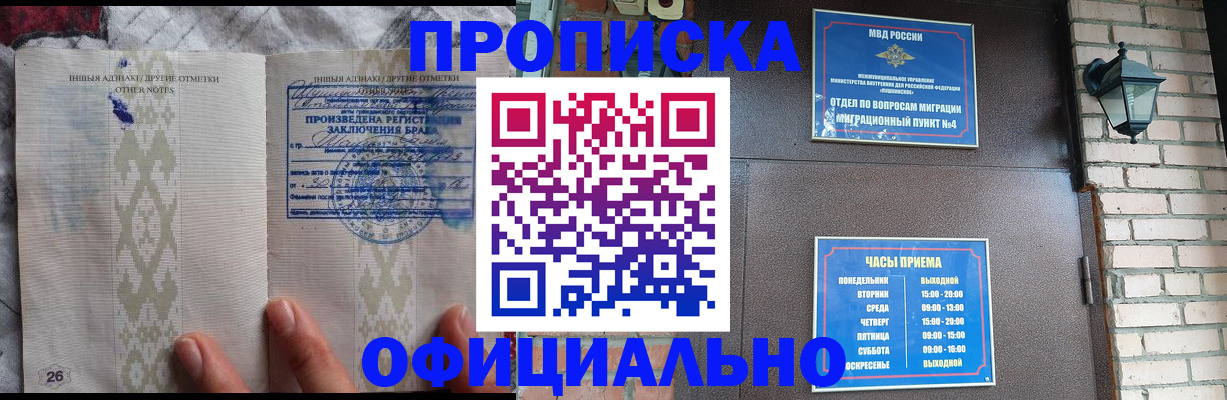 прописка поиск в Сальске